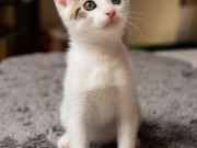 352811768_6416118695118756_3424645673832639210_n