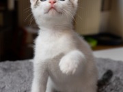 353586283_6416117848452174_3242829179210957999_n