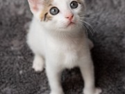 353598380_6416118081785484_8532558061137879076_n