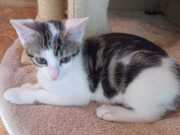 347260328_2743446715793533_6153219570794651803_n