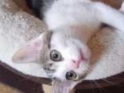 347398860_2743446562460215_6087580147244952649_n