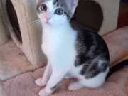 347413017_2743446599126878_5755849793010753864_n