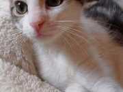 347598439_2743446425793562_3589819722873351467_n