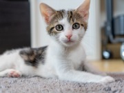 352830176_6416123151784977_5098955274337870999_n