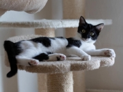 406308468_741226941375234_6395267119560897411_n