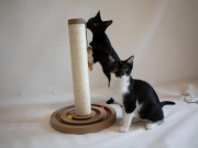 406317349_741226928041902_2810125941966949135_n