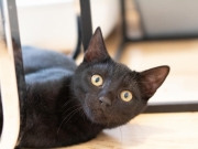 406317402_741226978041897_6368873904807441870_n