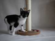 406319727_741227231375205_8359852314366598199_n