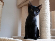 406321180_741227044708557_5176928313777132734_n