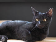 406323163_741226944708567_3131875312394679663_n