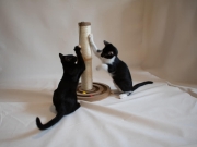 406328668_741227118041883_260674882621833276_n