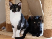 406342238_741226964708565_333884164071495010_n