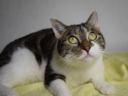 121695192_3599013870155605_535276998817918059_o