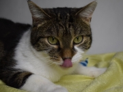 121700030_3599014260155566_1051393748010855778_o(1)