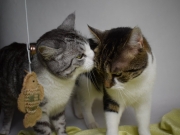 121727433_3599014143488911_6983874895128953630_o