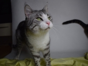 121811431_3599013460155646_8579329169396411921_o