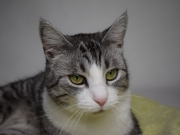 121960536_3599014443488881_451044463347392872_o(1)