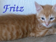 fritz