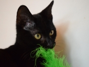 72691414_2690225094367825_7823466964717666304_o