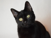 73342819_2690224224367912_1161597029307121664_o