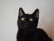 73458931_2690224234367911_3840572327452475392_o