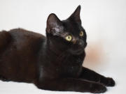 74395014_2690224761034525_3758104222315315200_o