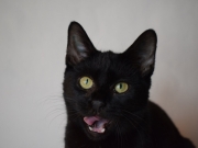 74406648_2690225341034467_4482591653835571200_o