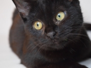 75250948_2690225514367783_1584783481286688768_o