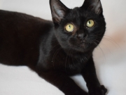 76645628_2690224471034554_6683122163735592960_o