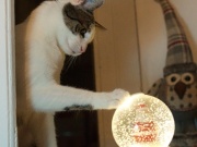 412952309_6948963848502221_4274386340440060685_n