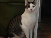 413015349_6948963071835632_3778172402052001761_n