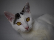 73080127_2690273141029687_6708096333409943552_o