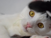 73270394_2690272027696465_2609275155821625344_o