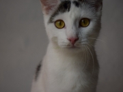 73361281_2690271714363163_6791142446655864832_o