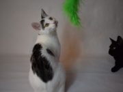 73504746_2690272601029741_8381877541434032128_o