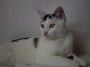 74404811_2690272827696385_1877229685667004416_o