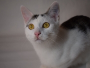 74528638_2690272054363129_1362893376147423232_o