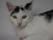 75552948_2690273267696341_5586345717162573824_o