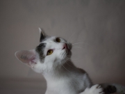 75572133_2690272514363083_5846001422490927104_o