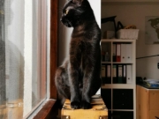 87394748_199122611456548_3750298591701237760_n