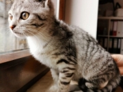 87501979_190343708865732_3613592973830258688_n