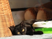 PicsArt_02-22-03.02.58