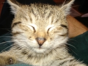 126857672_3543571045728838_7368842593331860074_o