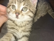 126876614_3543570949062181_3200500537907456634_o