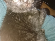 126900591_3543570832395526_4701100746091713804_o