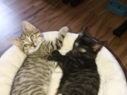 127051316_3543571155728827_3085837363838692897_o