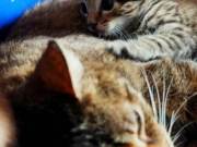 348363034_953744975904868_8387652722228931971_n