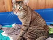 348368913_548363777506051_7721782816349818884_n