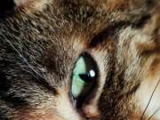 348387256_922595498852666_4143495491655045768_n