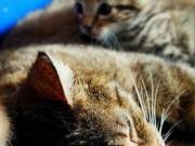 348387367_786575479535719_1097351206648089744_n